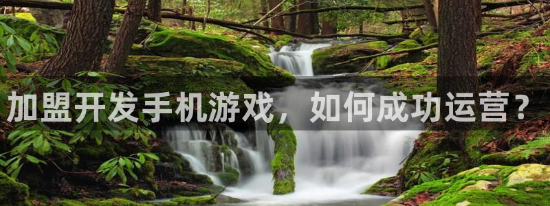 加盟开发手机游戏，如何成功运营？