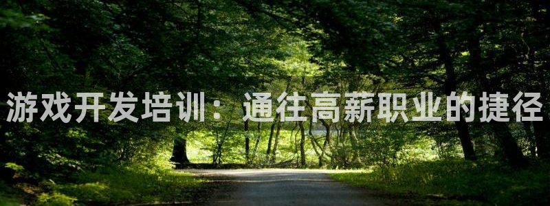 沐鸣娱乐平台登录入口官网下载：游戏开发培