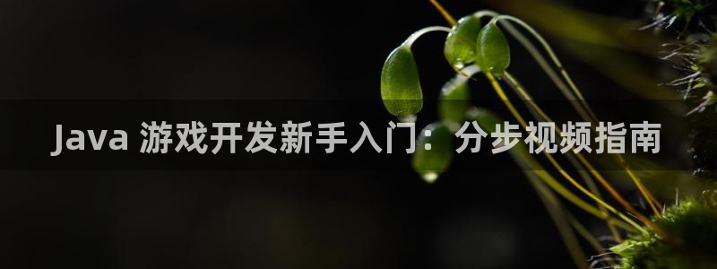 沐鸣科技怎么样知乎推荐：Java 游戏开