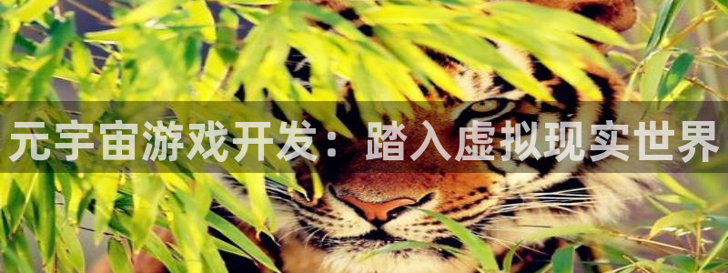 沐鸣平台官方网站：元宇宙游戏开发：踏入虚