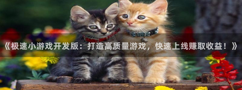 沐鸣1平台登录线路：《极速小游戏开发版：