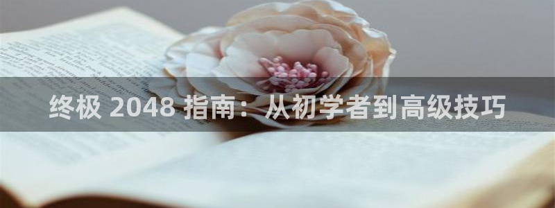 沐鸣娱乐平台登录入口网址：终极 2048