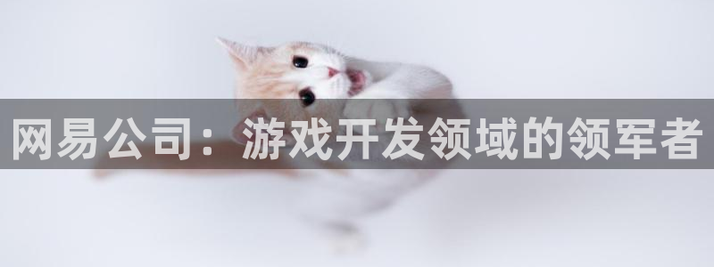 沐鸣科技业务：网易公司：游戏开发领域的领