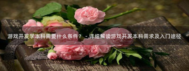 沐鸣线路测试：游戏开发学本科需要什么条件